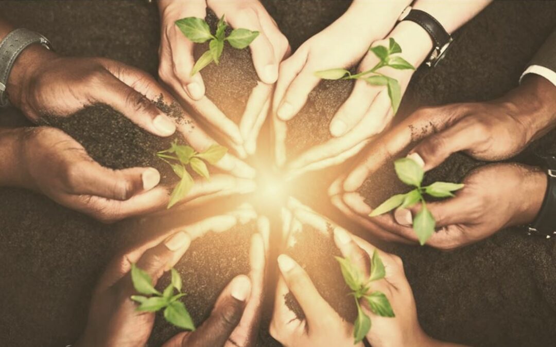 SK-Intervision “Share-How”